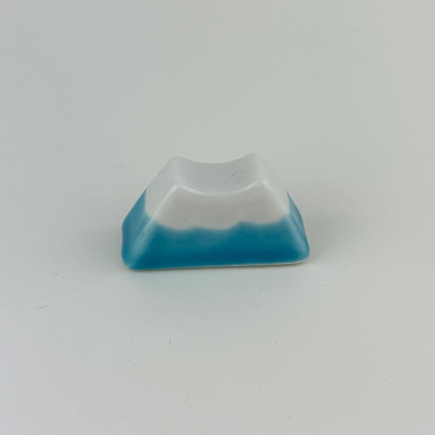 BLUE MOUNT FUJI CHASHAKU REST